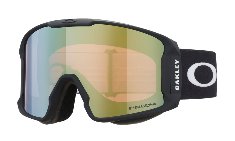 Oakley  Line Miner™ L Snow Goggles Black