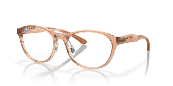 Oakley  Draw Up Polished Transparent Sepia