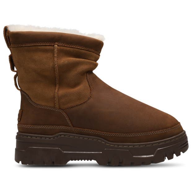 Ugg Trail Glazer Sneakers Suede Brown