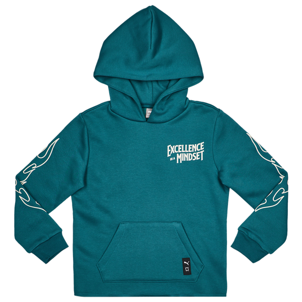 Puma fleece Hoodies Green