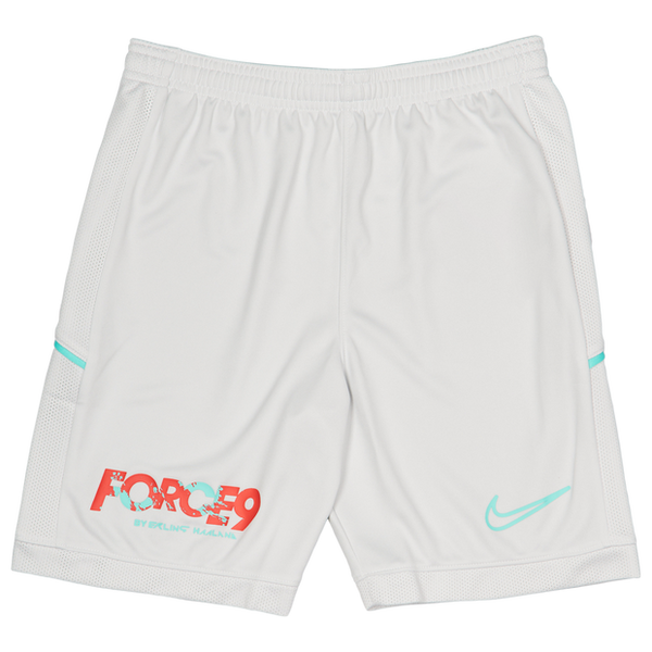 Nike Eh Df Acd25 Shorts Grey