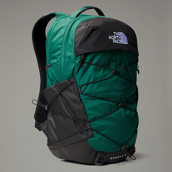 The North Face Borealis Backpack Evergreen/tnf Black One Size male