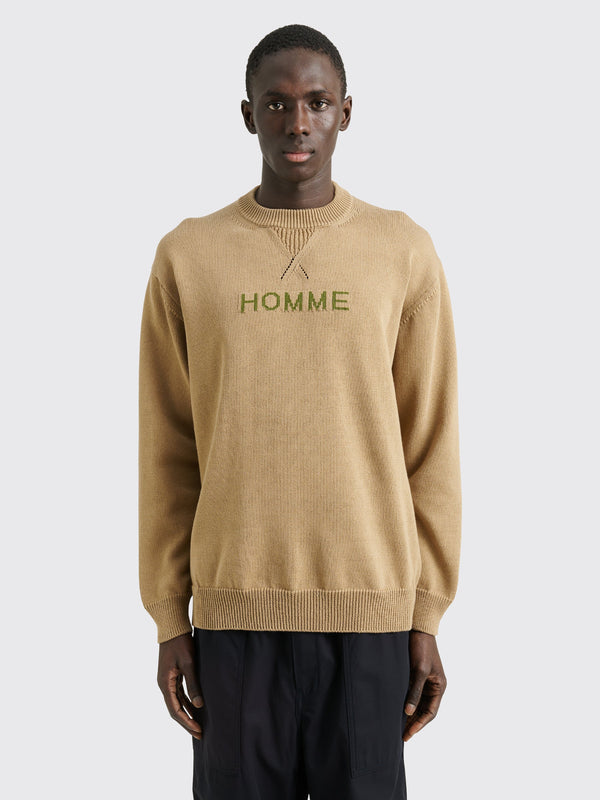 Comme des Garçons Homme Knitted Logo Sweater Beige  Green