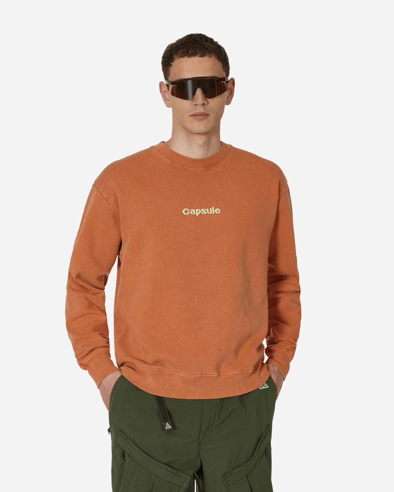 Capsule Classic Logo Crewneck Sweatshirt Rust