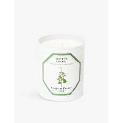 Carriere Freres Mentha Spicata scented candle 185g | LYBSTORE