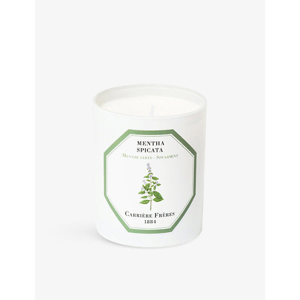 Carriere Freres Mentha Spicata scented candle 185g | LYBSTORE