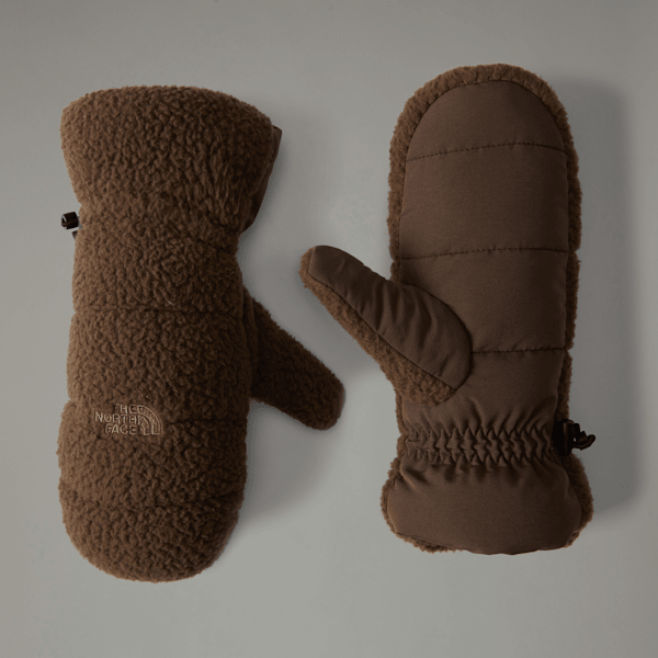 The North Face Cragmont Fleece Mittens Smokey Brown