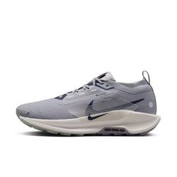 Tenis de trail running impermeables para hombre Nike Pegasus Trail 5 GORE-TEX - Gris