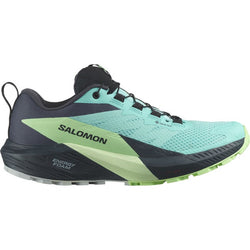 Salomon Sense Ride 5 Gore-tex Blue Radiance Green Ash India Ink