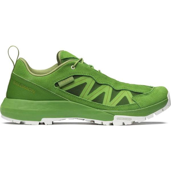 Salomon Alpinway Sp2 Phileo Treetop Icicle Calla Green