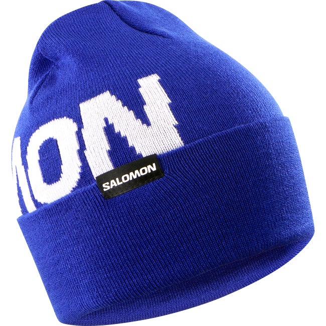 Salomon Hermitage Beanie Surf The Web