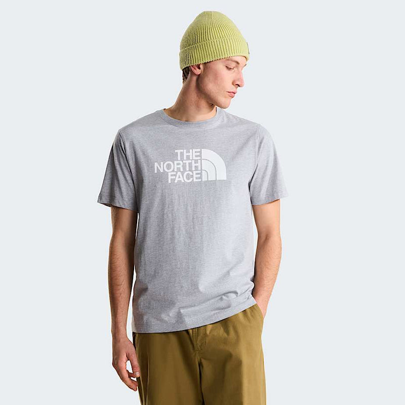The North Face Evolution Half Dome Regular T shirt Tnf Pale Grey Heather White