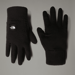 The North Face Men's Fleeski Etip™ Gloves Tnf Black | LYBSTORE