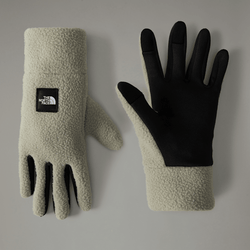 The North Face Men's Fleeski Etip™ Gloves Clay Grey | LYBSTORE