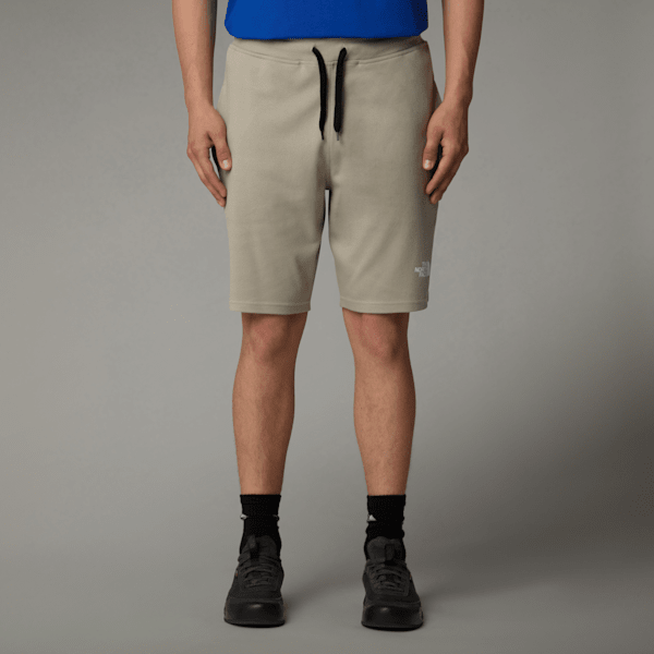 The North Face Men’s Graphic Light Shorts Clay Grey