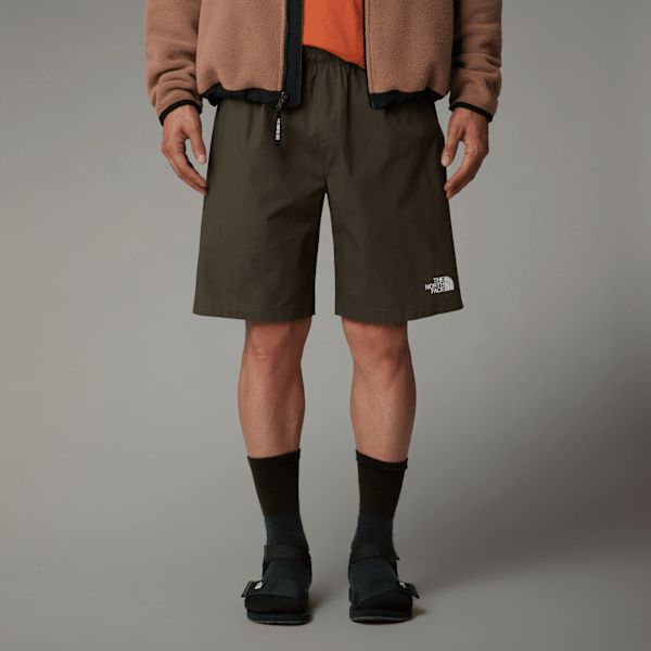 The North Face Men’s Limestone Shorts New Taupe Green