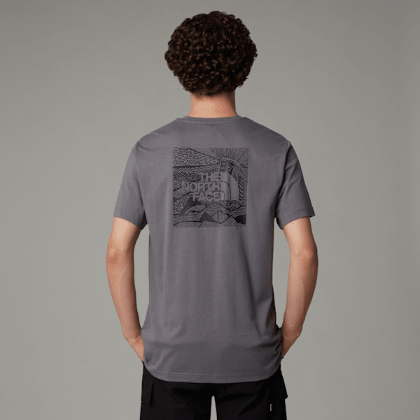 The North Face Men’s Redbox Celebration T-shirt Smoked Pearl