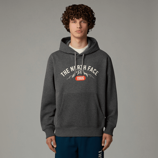 The North Face Men's Varsity Graphic Hoodie Tnf Medium Grey Heather 