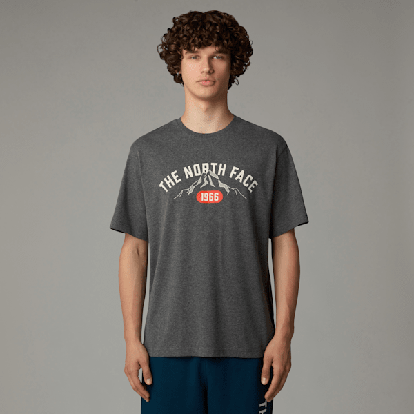 The North Face Men's Varsity Graphic T-shirt Tnf Medium Grey Heather | LYBSTORE