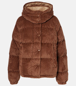 Moncler Daos corduroy down jacket