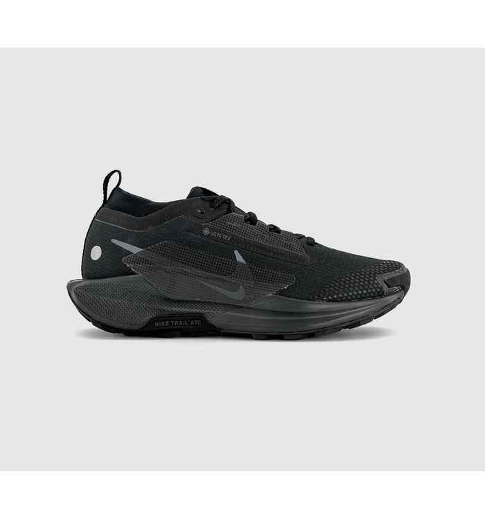 Nike Mens Pegasus Trail 5 Gore-Tex Trainers Black Black Anthracite