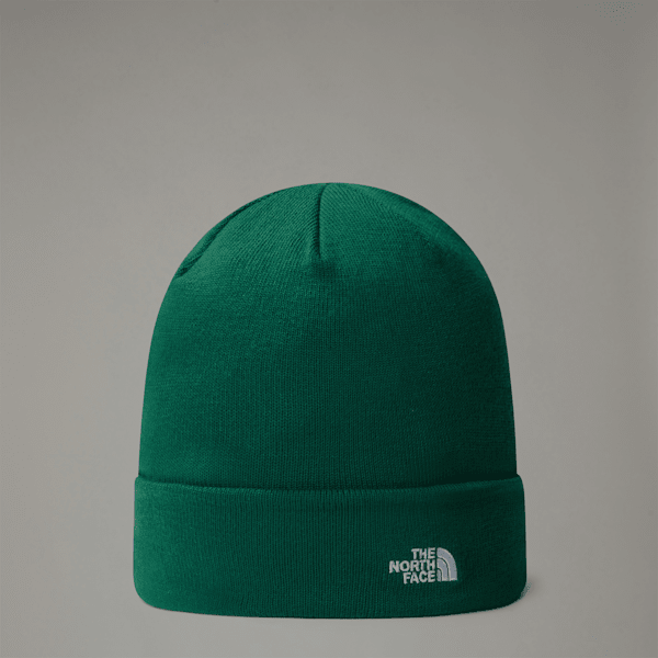 The North Face Norm Beanie Evergreen