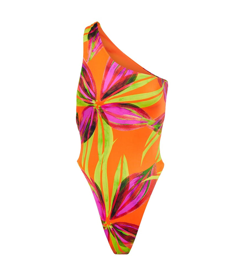 Louisa Ballou Plunge printed swimsuit