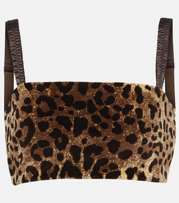 Dolce & Gabbana Leopard-print velvet crop top