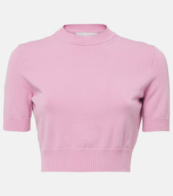 Sportmax Premier knitted crop top