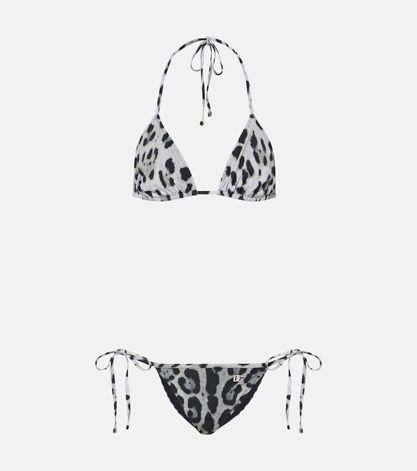 Dolce & Gabbana Leopard-print bikini