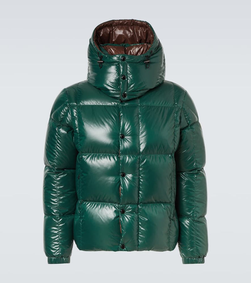 Moncler Parana down jacket