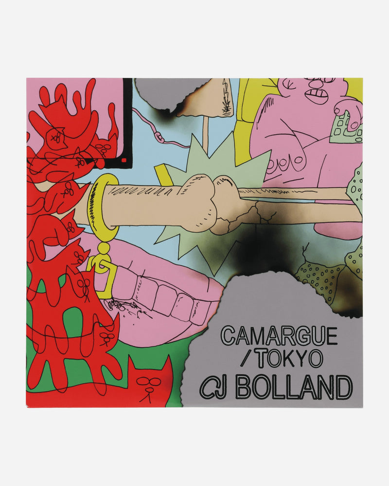 Public Possession Camargue / Tokyo Vinyl