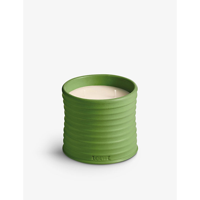 Loewe Luscious Pea medium scented candle 610g