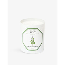 Carriere Freres Mentha Spicata scented candle 185g