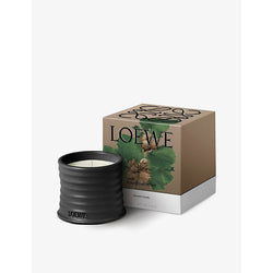 Loewe Roasted Hazelnut small scented candle 170g