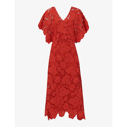 Leem Floral-lace scalloped-trim cotton midi dress | LEEM