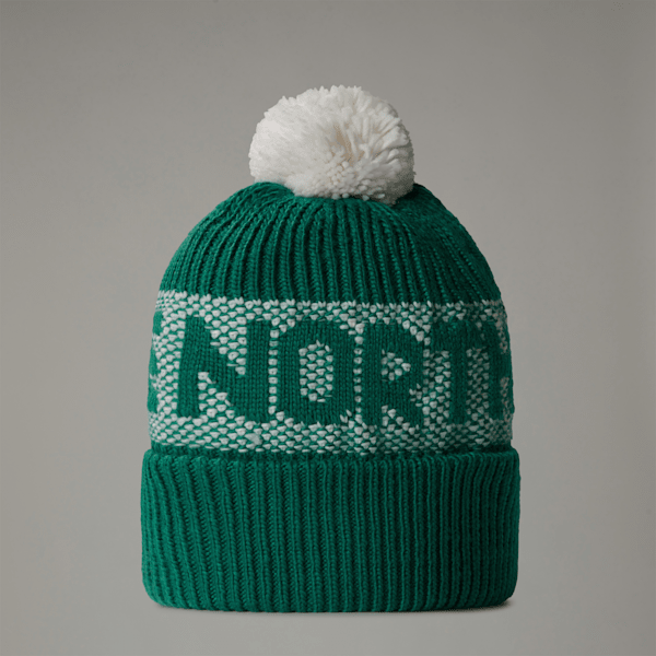 The North Face Retro Cabin Beanie Evergreen-white Dune One Size male | LYBSTORE