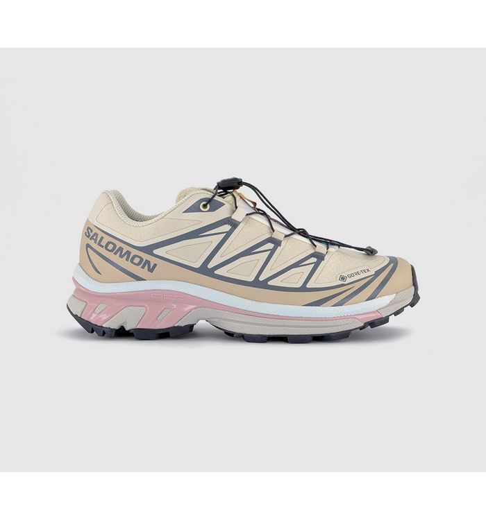 Salomon Mens XT-6 Gtx Trainers Almond Milk Feather Gray Pale Mauve Mesh In Beige/Grey