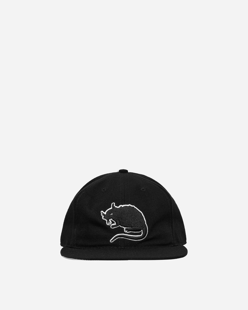 Stray Rats Rat Logo Fitted Hat Black