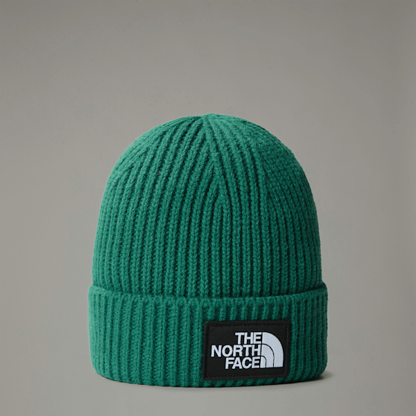 The North Face Tnf Logo Box Cuffed Beanie Evergreen