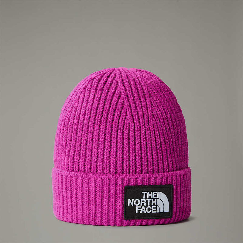 The North Face Tnf Logo Box Cuffed Beanie Deep Mulberry male
