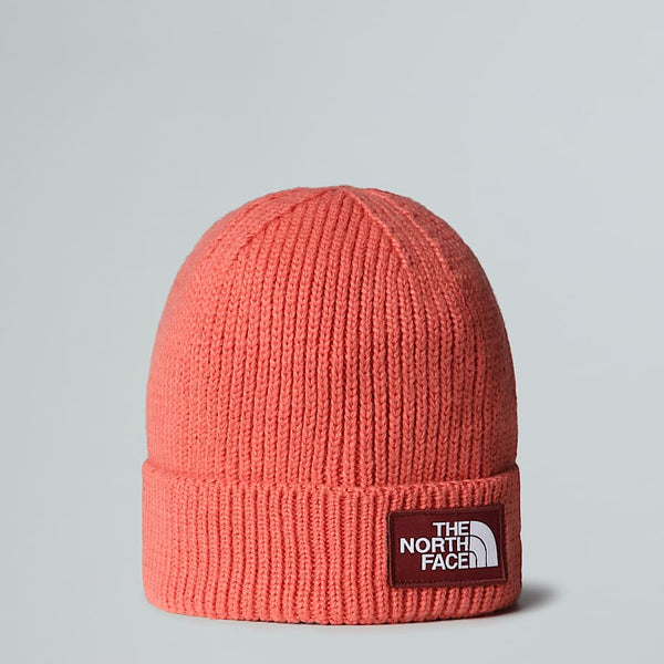 The North Face Tnf Logo Box Cuffed Beanie Mars Dust-sumac male
