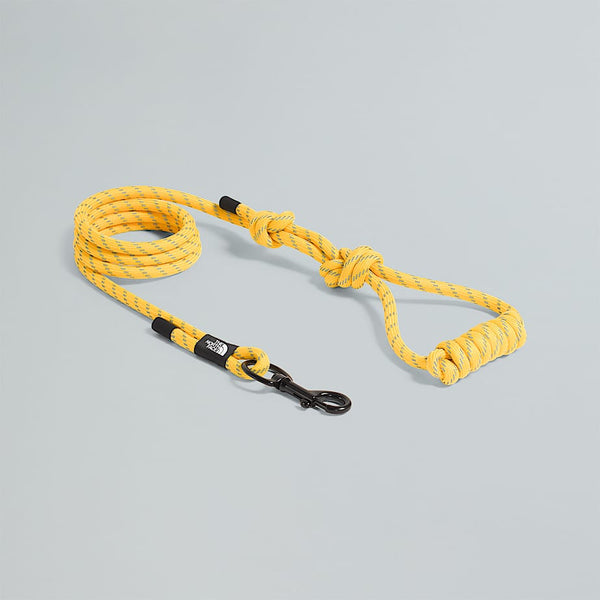 The North Face Tnf Pet Leash Summit Gold-tnf Black male