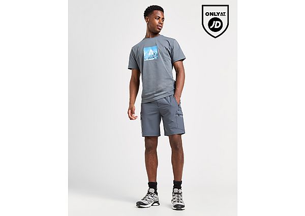 Technicals Dacite Shorts Grey