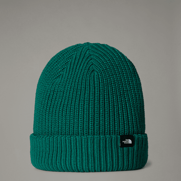 The North Face Fisherman Beanie Evergreen One