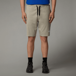 The North Face Men’s Graphic Light Shorts Clay Grey