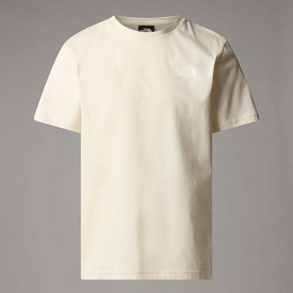 The North Face Men’s Redbox T-shirt White Dune-muted Pine