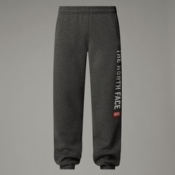 The North Face Men's Varsity Graphic Joggers Tnf Medium Grey Heather