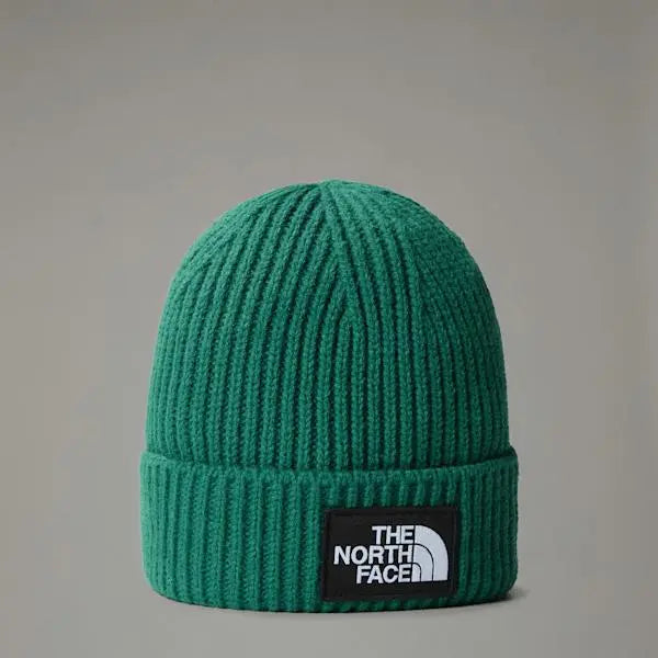 The North Face Tnf Logo Box Cuffed Beanie Evergreen One