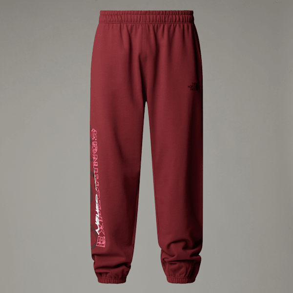 The North Face  Nse Relaxed Joggers Sumac